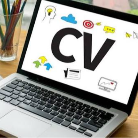 Conception de CV Pro